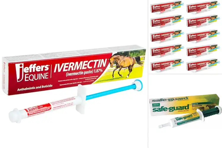 Detailed view of Best Equine Parasite Controls: Top Picks for a Healthy Horse