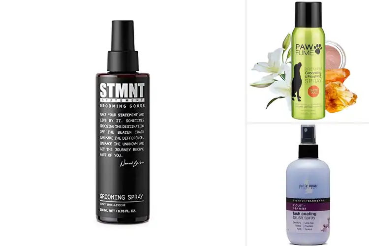 Detailed view of Best Everyday Grooming Spray