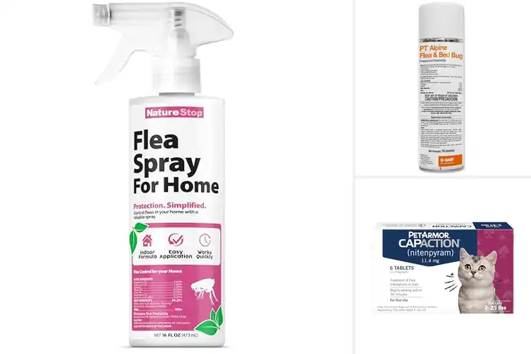 Detailed view of Best Fast-Acting Flea Killers