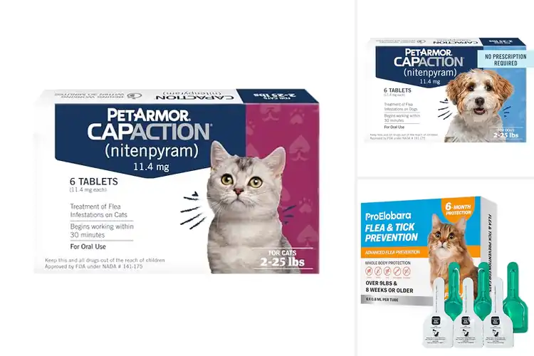 Detailed view of Best Fast-Acting Flea Remedies