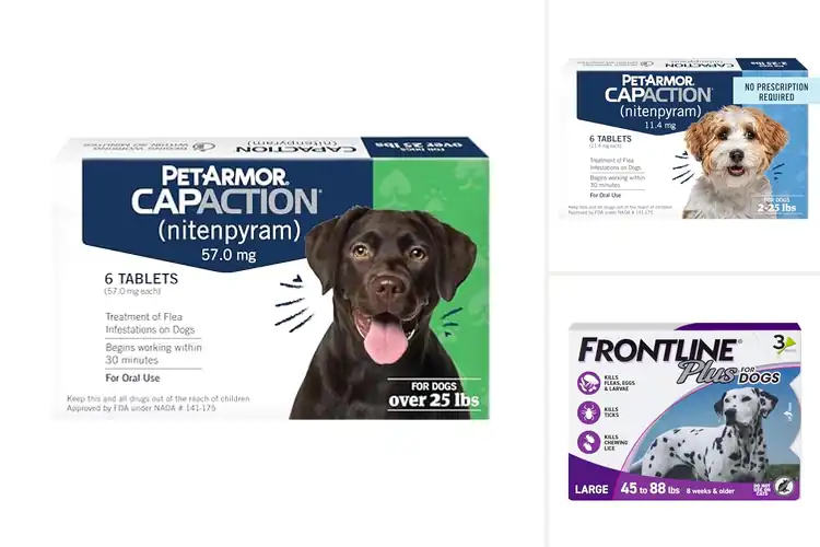 Detailed view of Best Fast-Acting Flea Treatments for Dogs
