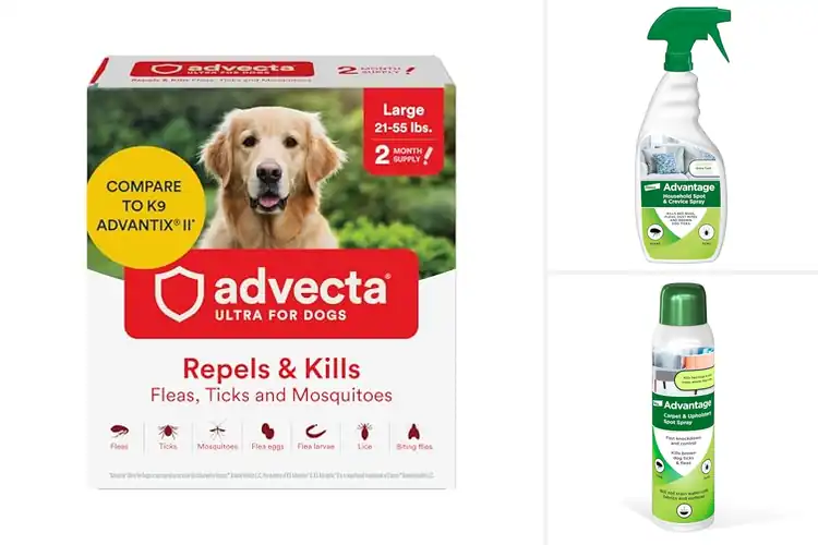 Detailed view of Best Fast Acting Tick And Flea Kill Within Four Hours