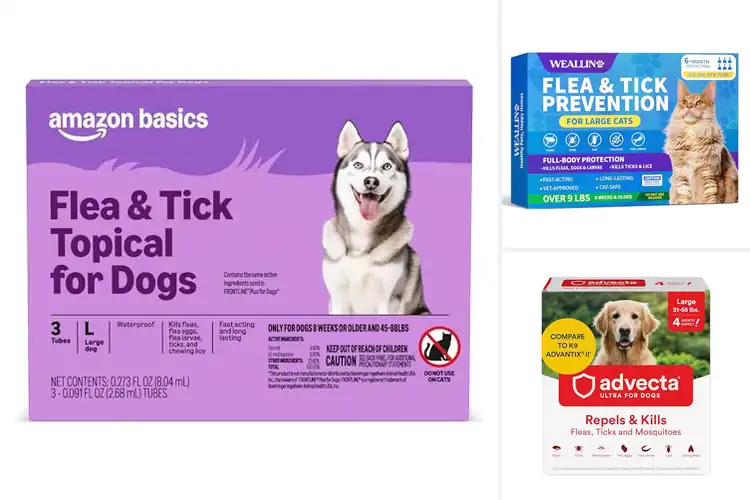 Detailed view of Best Fast-Acting Tick Remedies