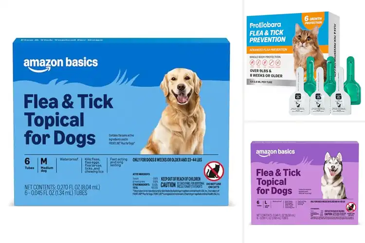 Detailed view of Best Fast-Acting Tick Solutions