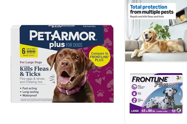 Detailed view of Best Fast Acting Tick Treatments For Dogs