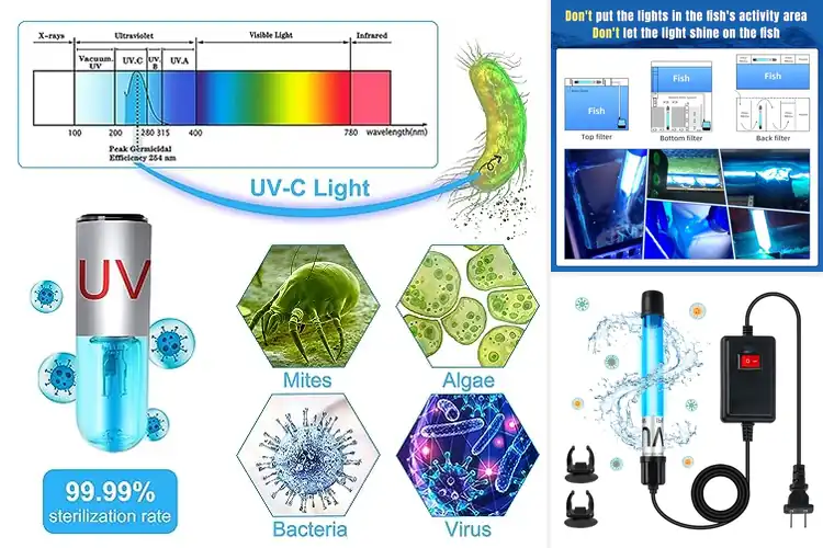 Detailed view of Best Fish Tank Cleaning Lights
