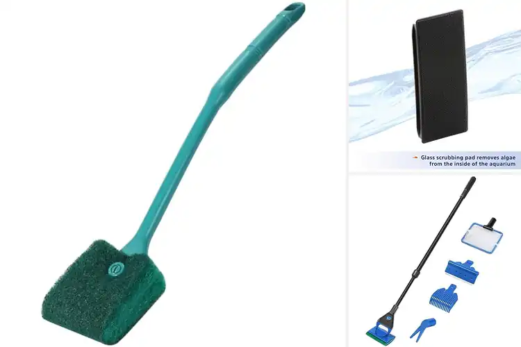 Detailed view of Best Fish Tank Cleaning Tools