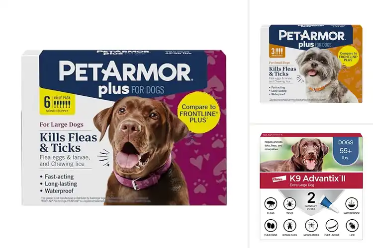 Detailed view of Best Flea and Tick Medications for Dogs