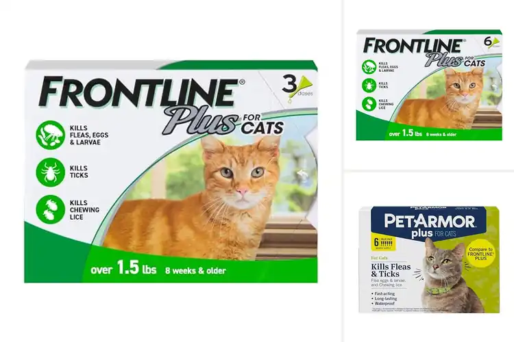 Detailed view of Best Flea And Tick Prevention For Cats