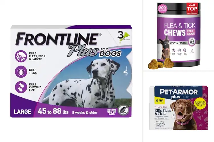 Detailed view of Best Flea and Tick Protection for Dogs
