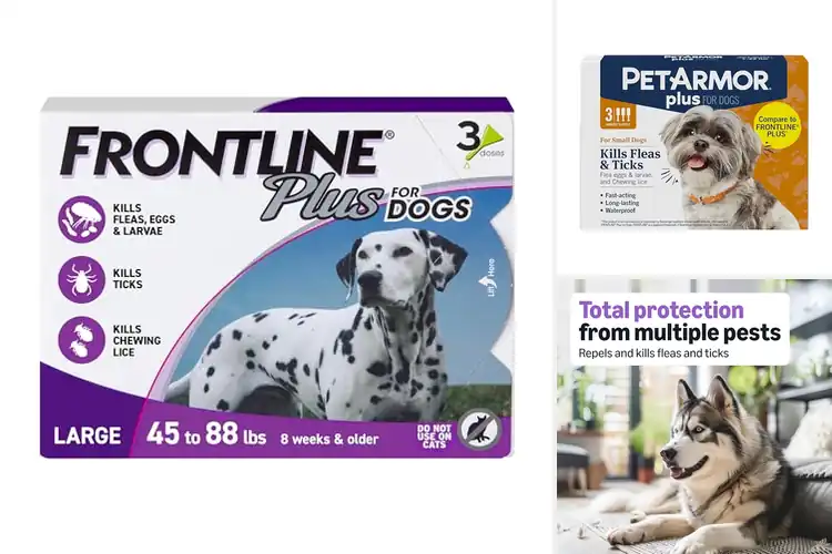 Detailed view of Best Flea And Tick Treatments For Dogs