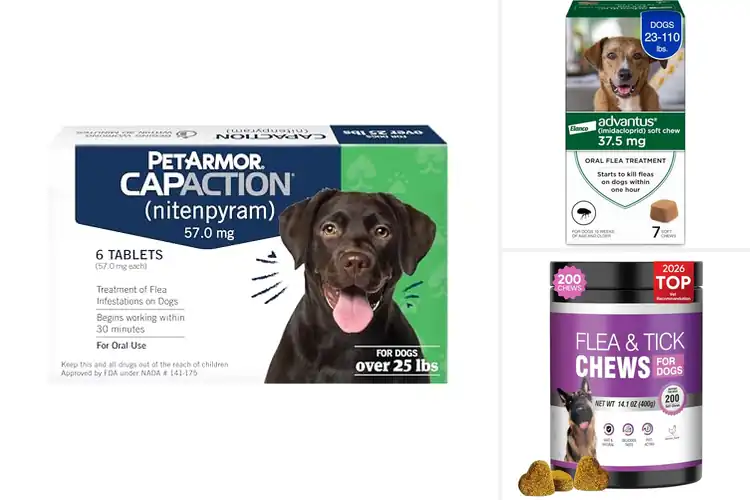 Detailed view of Best Flea Chewables For Dogs