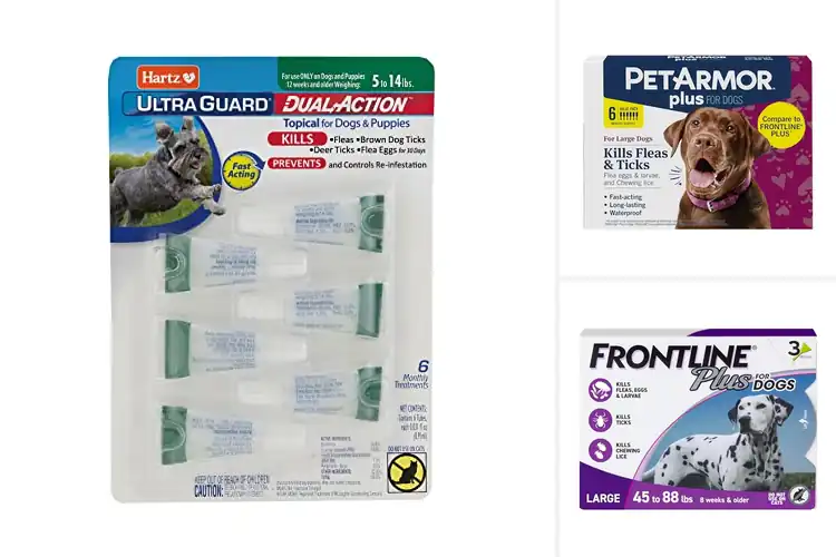 Detailed view of Best Flea Infestation Protection For A Month
