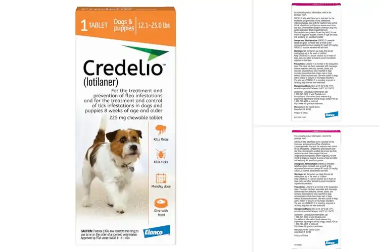 Detailed view of Best Flea Infestation Protections