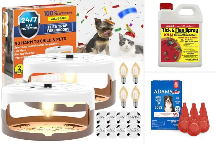 Detailed view of Best Flea Infestation Solutions