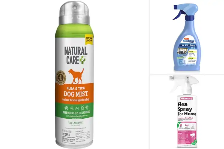 Detailed view of Best Flea Kill Within 12 Hours – Fast Relief for Pets & Home