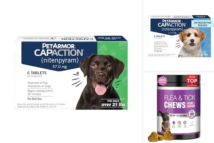 Detailed view of Best Flea Pills For Dogs