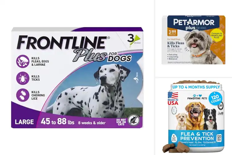 Detailed view of Best Flea Prevention For Dogs