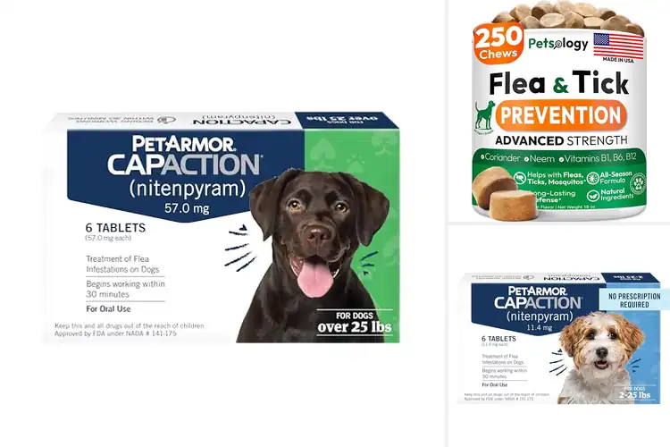 Detailed view of Best Flea Prevention Tablets for Dogs