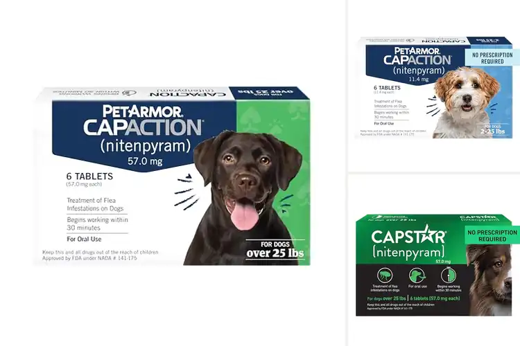 Detailed view of Best Flea Prevention Tablets: Safe, Fast Relief for Pets