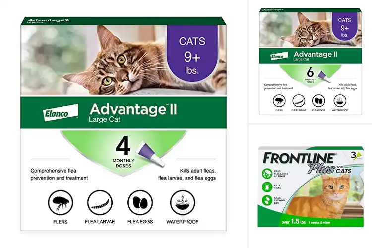 Detailed view of Best Flea Protection For Cats: Top 10 Solutions