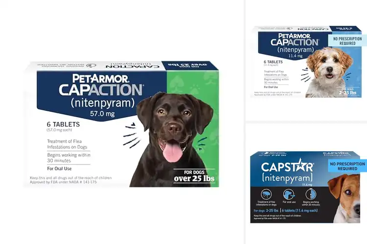 Detailed view of Best Flea Tablets For Dogs