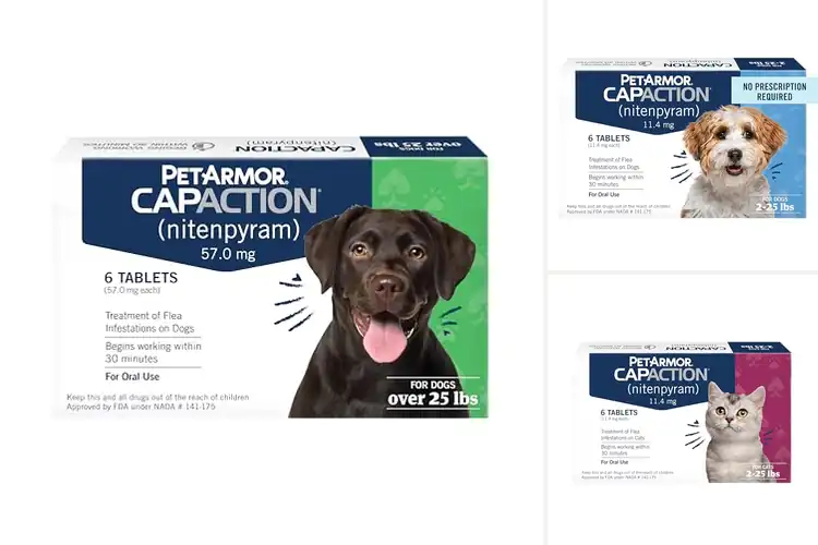 Detailed view of Best Flea Tablets: Top 10 Safe & Fast-Acting Solutions