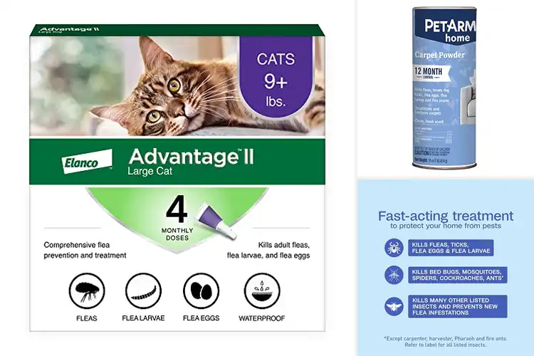 Detailed view of Best Flea Treatments