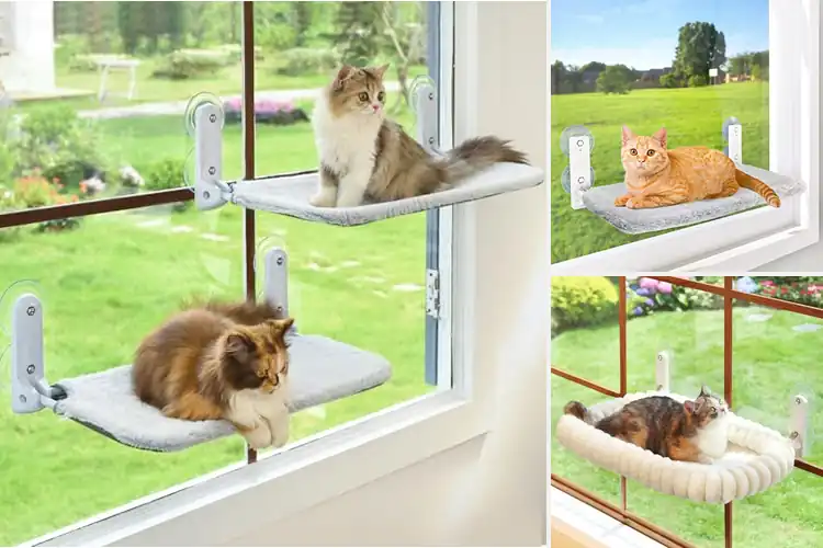 Detailed view of Best Foldable Cat Hammocks