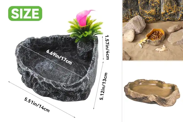 Detailed view of Best Food-Grade Resin Water Dishes for Safe, Stylish Pets