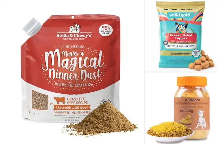 Detailed view of Best Food Topper For Picky Eaters