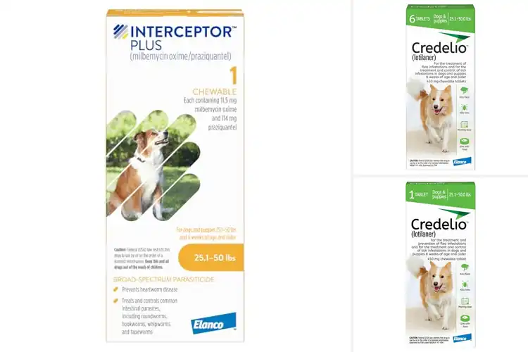 Detailed view of Best For Dogs 25 1 To 50 Lbs: Happy & Healthy Medium Dogs