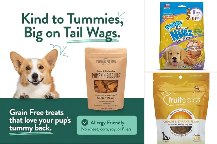 Detailed view of Best For Domestic Dogs And Puppies In USA