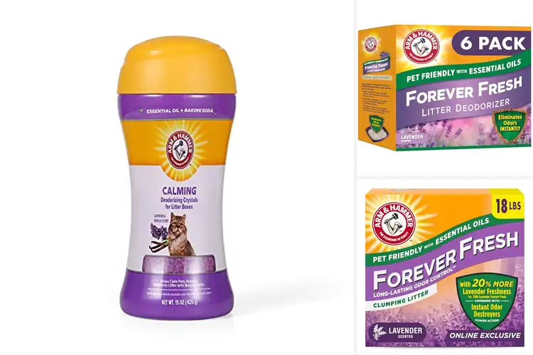 Detailed view of Best Fresh Lavender Scent For Litter Box