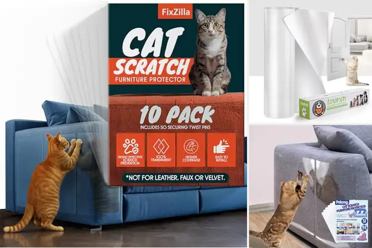 Detailed view of Best Furniture Protection Scratcher