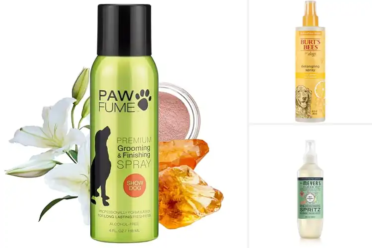 Detailed view of Best Gentle Dog Grooming Sprays