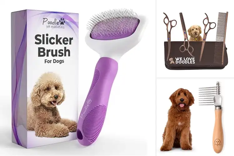 Detailed view of Best Goldendoodle Grooming Products