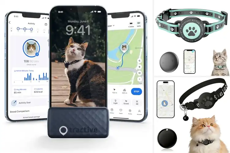 Detailed view of Best GPS Cat Trackers