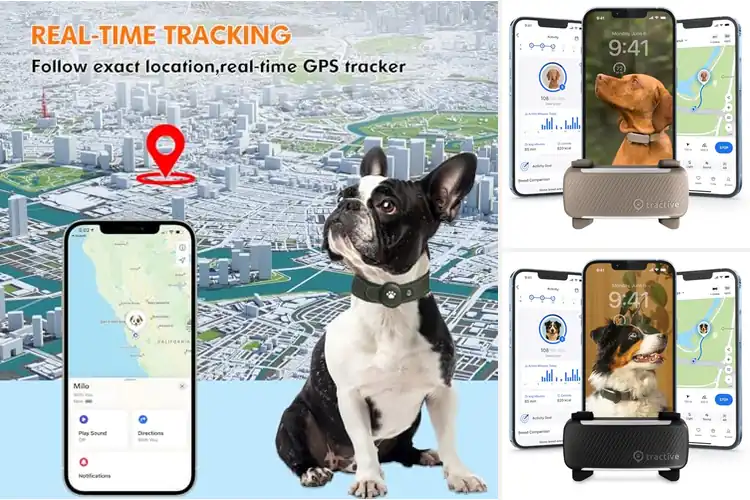 Detailed view of Best GPS Tracker Collars: Top 10 Picks to Keep Dogs Safe