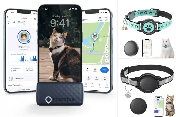 Detailed view of Best GPS Trackers for Cats