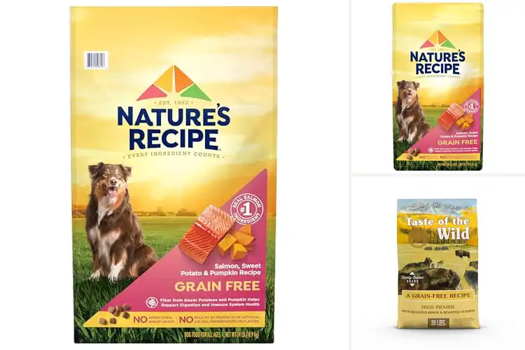 Detailed view of Best Grain Free Dog Food: Top Picks for Healthy, Happy Dogs