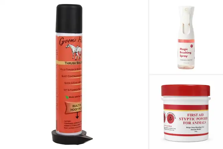 Detailed view of Best Grooming Quick Solutions