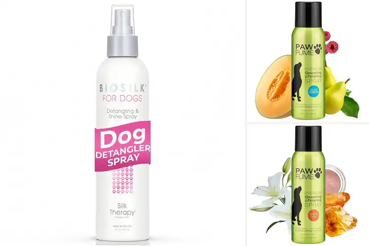 Detailed view of Best Grooming Sprays for a Shiny, Healthy Pet Coat