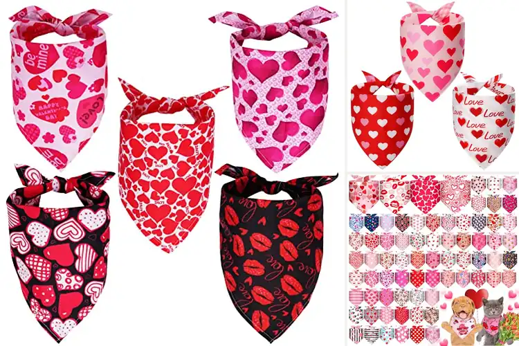 Detailed view of Best Heart Bandanas for Dogs: Top 10 Stylish & Durable Picks