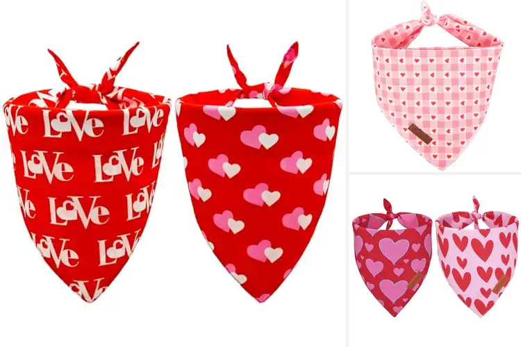 Detailed view of Best Heart Dog Bandanas: Top 10 Stylish & Durable Picks