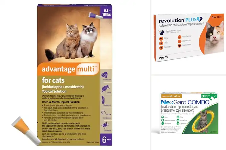 Detailed view of Best Heartworm Prevention For Cats: Keep Your Kitty Safe