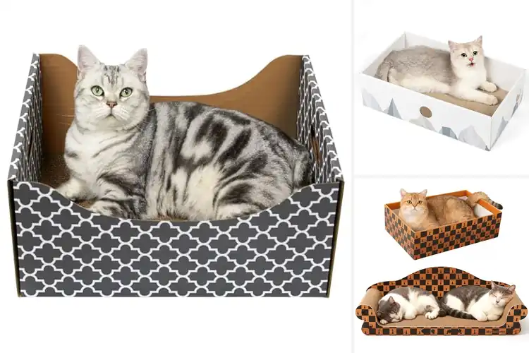 Detailed view of Best Heavy Duty Cardboard Cat Scratcher Bed