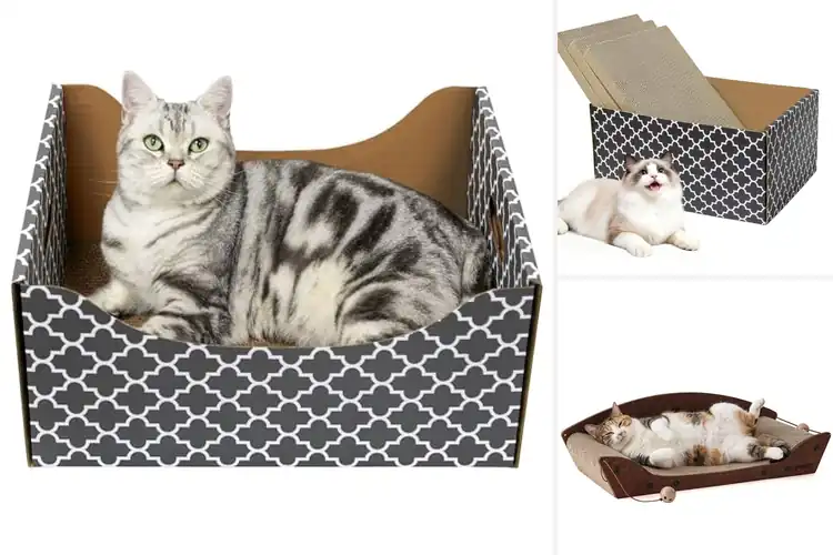 Detailed view of Best Heavy Duty Cat Scratcher Bed
