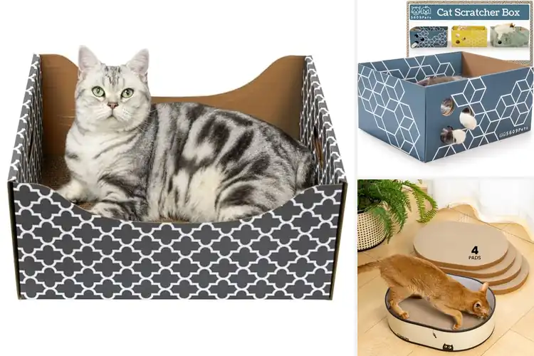 Detailed view of Best Heavy Duty Cat Scratcher Box