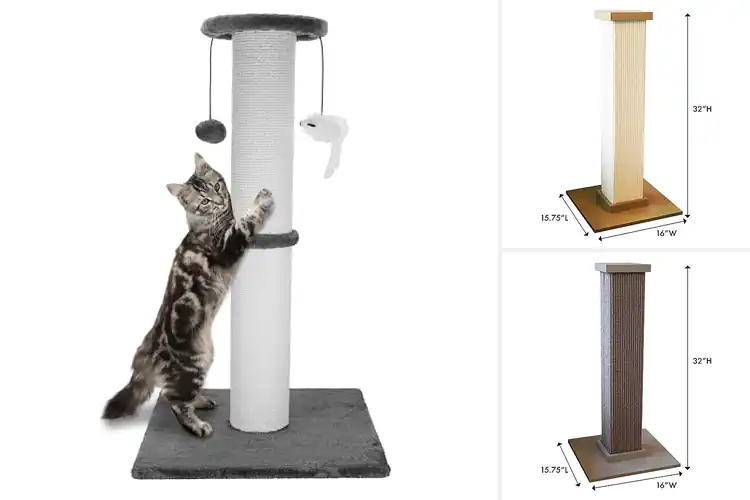 Detailed view of Best Heavy Duty Cat Scratcher